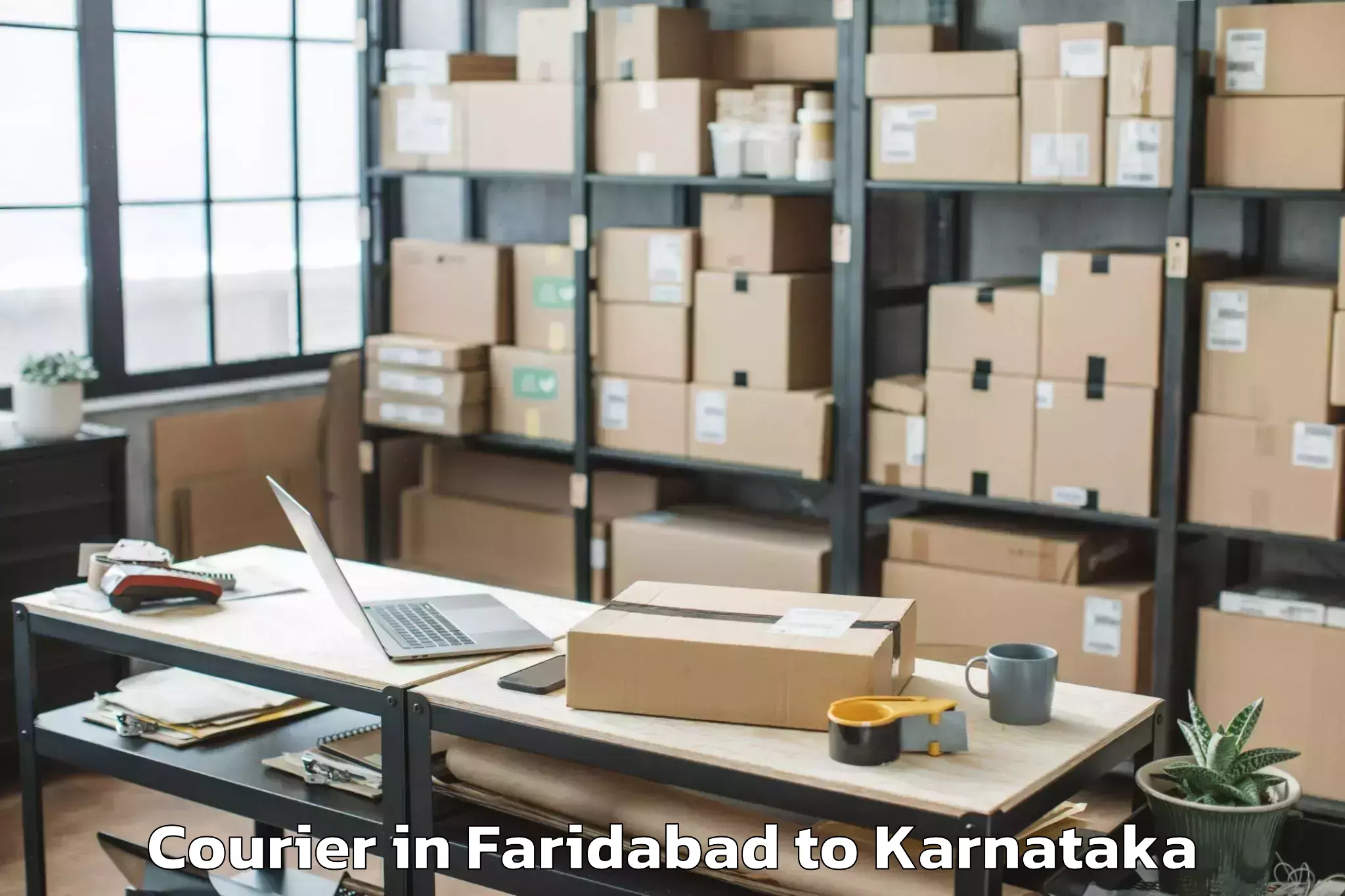 Get Faridabad to Huliyar Courier